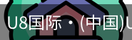 U8国际